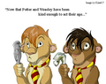 Harry Potter/Lion King Picture - harry-potter fan art