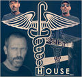 House. - house-md fan art