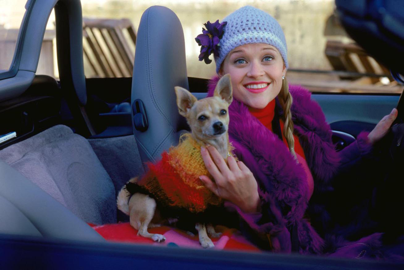 Pictures From Legally Blonde 37