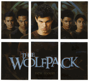NEW New Moon Trading cards!