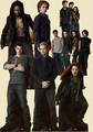 new-moon-stand-ups - alice-cullen photo