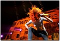 pics i haven't seen so i thought i'd share em! - paramore photo