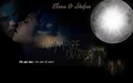 the-vampire-diaries-tv-show - stefan and elena wallpaper