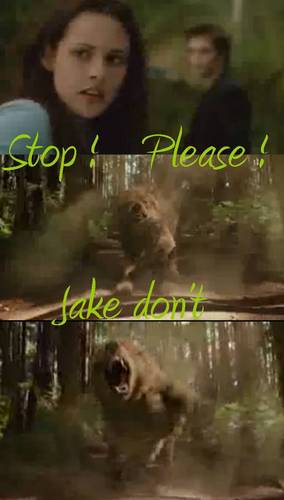 stop, please, jake don't
