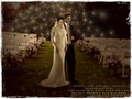 the cullen wedding - twilight-series fan art