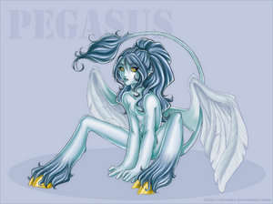 Anthro Pegasus