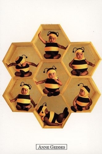  mga sanggol Bees