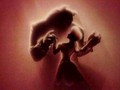 beauty-and-the-beast - Belle and the beast wallpaper