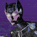 Catwoman - dc-comics icon