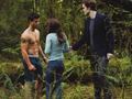 Edward,Bella and Jacob! - twilight-series photo