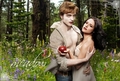 Edward-Bella - twilight-series photo