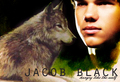 Jacob Black - twilight-series photo