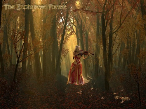 Mairead in the Enchanted Forest 2