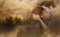 New Moon: Official Wallpapers  - edward-and-bella wallpaper