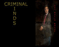 criminal-minds - ROSSI wallpaper
