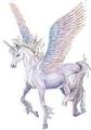 Enchanted - unicorns photo