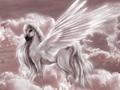 Winged Beauty - unicorns photo