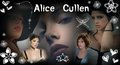 alice cullen - twilight-series photo