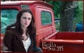 bella - twilight-series fan art