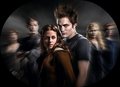 cullen brothers - twilight-series photo
