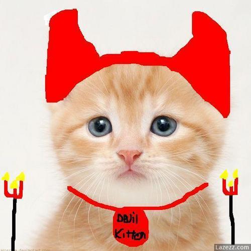  devil kitten