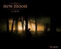 new-moon - twilight-series photo