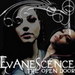 xXAMY LEEXx - evanescence icon