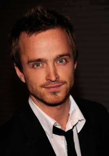  Aaron Paul at Premiere Of Rogue Pictures' "The Last House On The Left on March 10th, 09