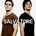 Brothers - the-vampire-diaries-tv-show icon