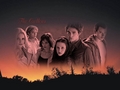 twilight-series - Cullen Brothers wallpaper
