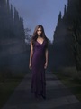 Greystone Mansion - the-vampire-diaries-tv-show photo