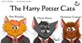 Harry Potter Cats Fanart - harry-potter fan art