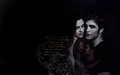 twilight-series - How Close Am I To Losing You? wallpaper