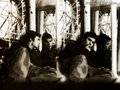 ian-somerhalder - Ian Somerhalder :) wallpaper