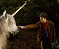 Merlin and the Unicorn - unicorns photo