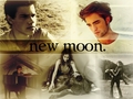 New Moon! - twilight-series photo
