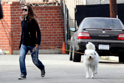 Olivia, Walking Her Dogs