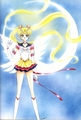 Sailor  Moon Sailor Stars Artbook - sailor-moon-sailor-stars photo