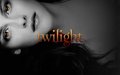 Twilight>3 - twilight-series wallpaper