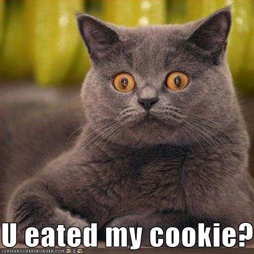  U eated my cookie?