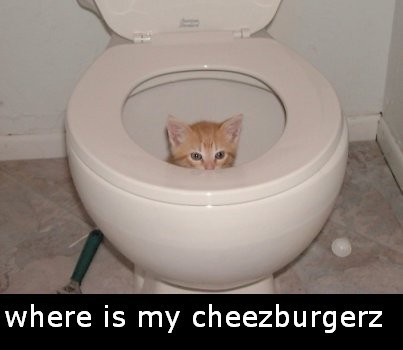  Where is my cheezburgerz