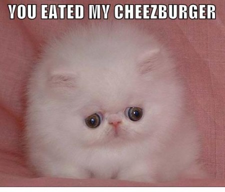  你 eated my cheezburger