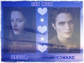 bella and edward - twilight-series wallpaper