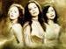 charmed - television icon