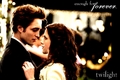 enough for forever - twilight-series photo