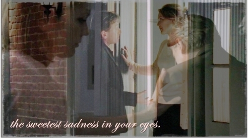  the sweetest sadness in your eyes.