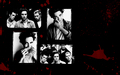 twilight boys - twilight-series wallpaper