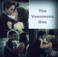 venomous - twilight-series fan art