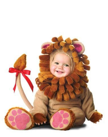  Baby Lion