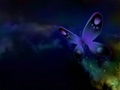 butterflies - Blue Butterfly,Wallpaper wallpaper